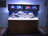 new tank and glass work 003.JPG